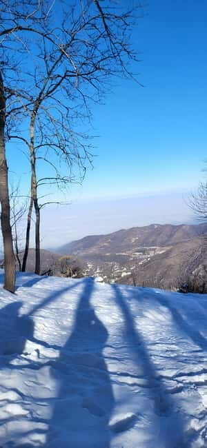 Almaty: Kok Zhailau Mountain and Batareika Waterfall Hike - Why This Tour Offers Great Value