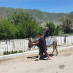 Almaty Region 3 Days Tour from Almaty - Authenticity, Value, and Travel Experience