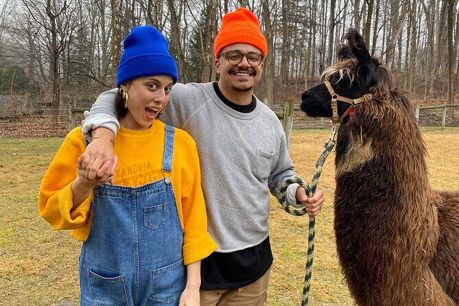 Alpaca and Llama Encounter with Guided Walk - Who Should Consider This Tour?