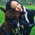 Alpaca and Llama Trek in Pleasant Valley - The Animals and Their Personalities