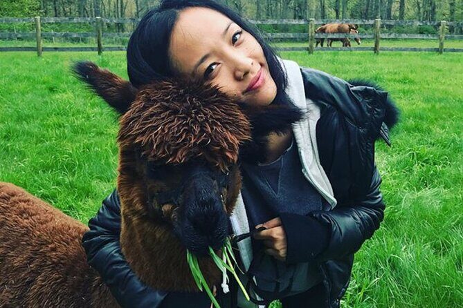 Alpaca and Llama Trek in Pleasant Valley