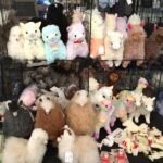 Alpaca Ranch and Fiber Processing Mill Tour - What to Expect from the Tour