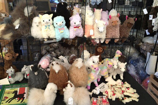 Alpaca Ranch and Fiber Processing Mill Tour - What to Expect from the Tour