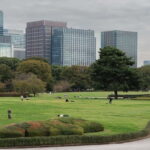 Amami Oshima Island Sightseeing - What’s Included and What’s Not