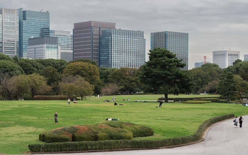 Amami Oshima Island Sightseeing - What’s Included and What’s Not