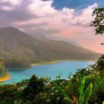 Amazing Bali Dolphin Watching Trip Experience - Summary