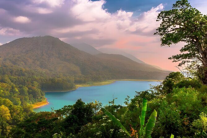 Amazing Bali Dolphin Watching Trip Experience - Summary