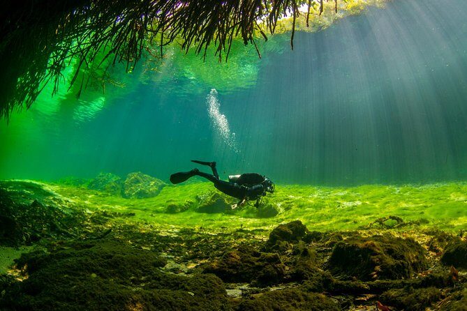 Amazing beginner dive in Tulum cenote (or refresher dive) - Final Verdict: Who’s It For?