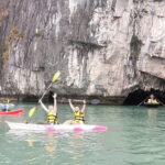 Amazing Day Cruise at Halong Bay Shore Excursion from Cruise Port - Why We Value This Tour