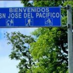 Amazing experience in the mountain of San Jose del Pacifico - Practical Details: What You Need to Know