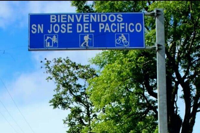 Amazing experience in the mountain of San Jose del Pacifico - Practical Details: What You Need to Know