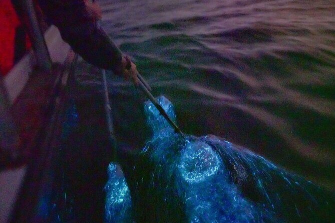 Amazing Fireflies With Blue Tears Watching & Kuala Selangor Tour - The Firefly and Blue Tears Boat Ride