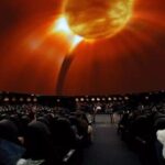 American Museum of Natural History Admission Ticket - Final Thoughts