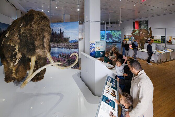 American Museum of Natural History Admission Ticket - Final Thoughts on Visiting the American Museum of Natural History