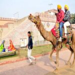 Amritsar: Evening Tour to Sadda Pind with Dinner - Value and Practicalities