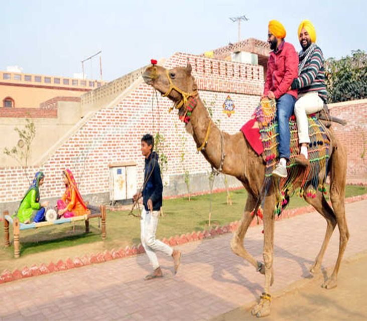 Amritsar: Evening Tour to Sadda Pind with Dinner - Value and Practicalities