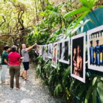 An Afternoon of Contemporary Art in Phnom Penh by Tuk Tuk - Exploring Phnom Penh’s Contemporary Art Scene by Tuk Tuk