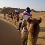 An Overnight Non-touristic Camel Safari (2PM to 11:30 AM Next Day) - Why This Tour Excels