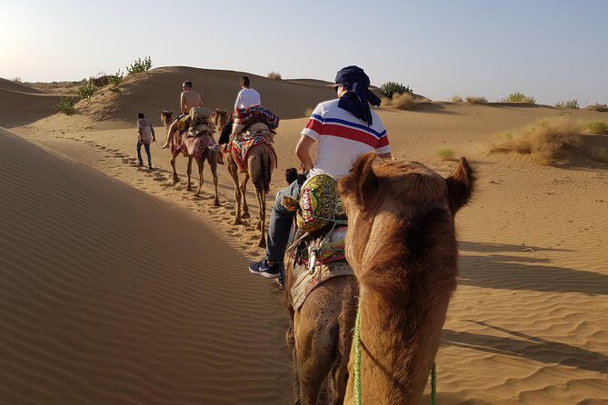 An Overnight Non-touristic Camel Safari (2PM to 11:30 AM Next Day) - Why This Tour Excels