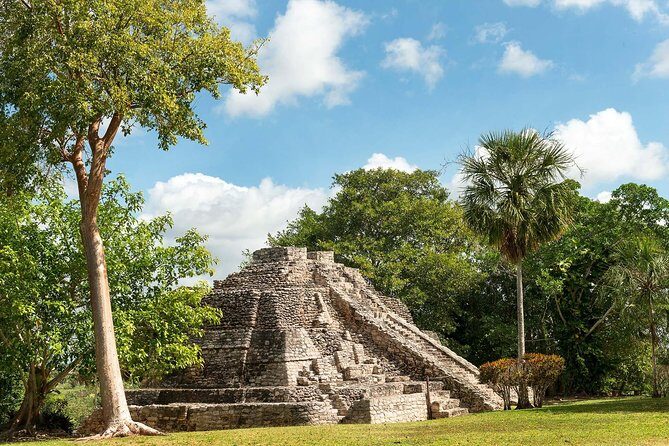 Ancient Chacchoben Mayan Ruins Tour from Costa Maya - Final Words: Who Is This Tour Perfect For?