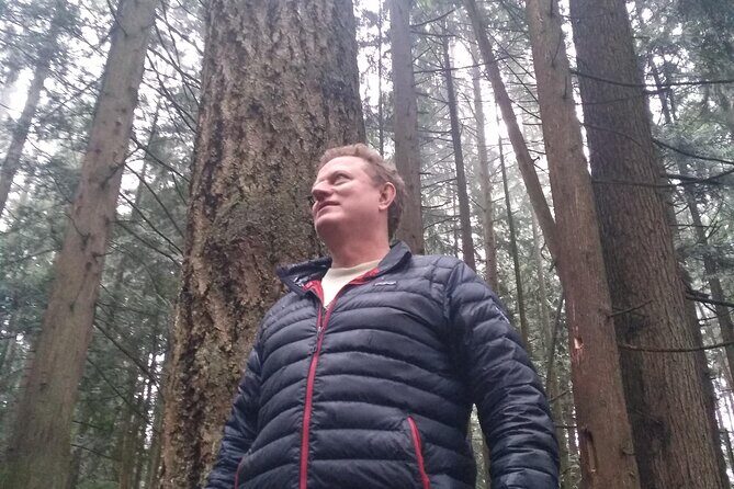 Ancient Forest , Waterfalls and Stunning Vistas Day Tour - Who Will Love This Tour?