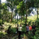 Ancient Lava Stream Trek through dense Tropical forest. - Who Should Consider This Tour?