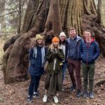Ancient Trees of Vancouver Walking Tour - A Detailed Look at the Tour Experience