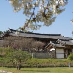Andong Hahoe Folk Village [UNESCO World Heritage] Private Tour from Seoul - Practical Details & Tips