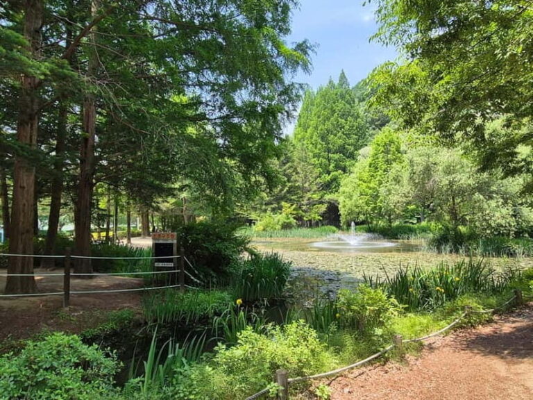 Andong: UNESCO Sites, Mask Dance, and Stunning night View - A Deep Dive into What You Can Expect