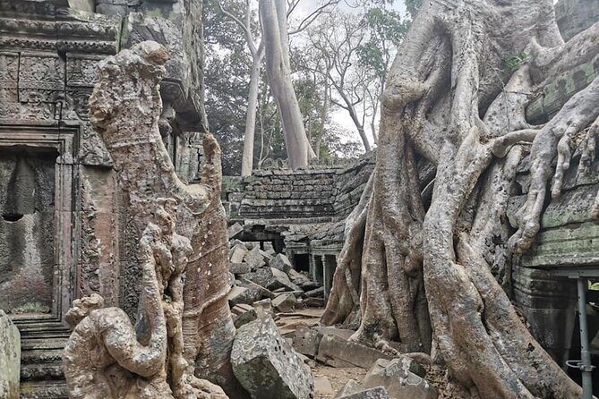 Angkor Cab: Siem Reap 3 day private tour: 'off the beaten track' - Day Three: Jungle and Ancient Capitals