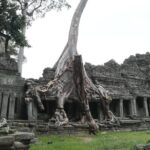 Angkor Grand Circuit Temples Tour - What Makes This Tour Stand Out