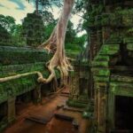 Angkor temples Tour - The Practicalities