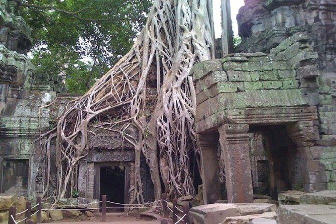 Angkor Wat 2-Day Tour - Who Would Enjoy This Tour?