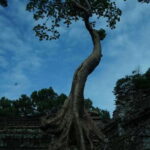 Angkor Wat: 3-Days Private Angkor Wat tour for Family - An In-Depth Look at the 3-Day Angkor Experience