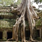 Angkor Wat Sunrise & Small Circuit Tour - An In-Depth Look at the Angkor Wat Sunrise & Small Circuit Tour