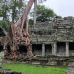 Angkor Wat Temples Tour by Car with Optional Sunrise - Who Will Love This Tour?