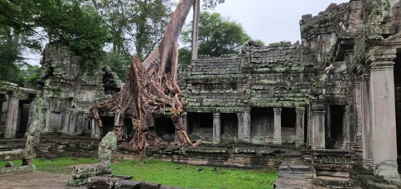 Angkor Wat Temples Tour by Car with Optional Sunrise - Who Will Love This Tour?