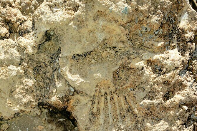 Animal Petting and Sunset Hike in Las Vegas - Pricing and Value