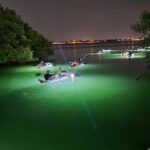 Anna Maria Island - Clear Kayak LED Night Glass Bottom Tour - Final thoughts