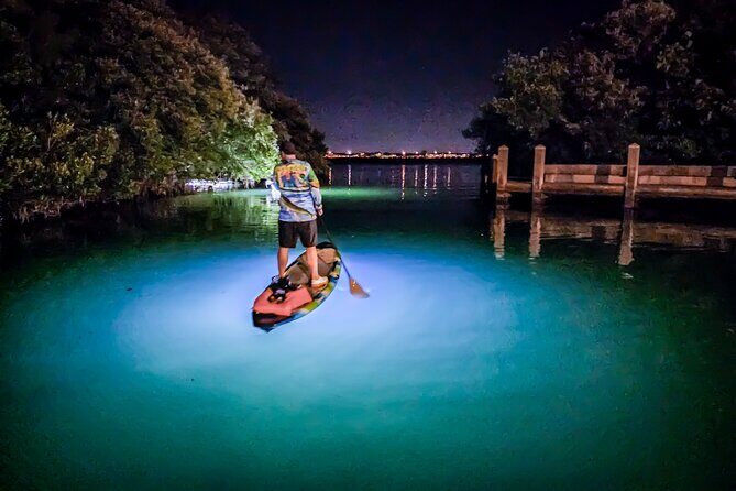 Anna Maria Island Paddleboard Tours - The Final Word: Who Is This Tour For?