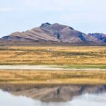 Antelope Island Wildlife Expedition Great Salt Lake Adventure - Final Thoughts