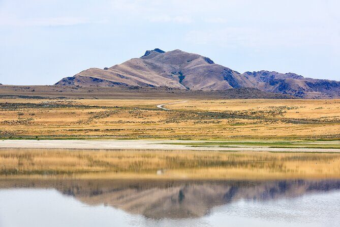 Antelope Island Wildlife Expedition Great Salt Lake Adventure - Final Thoughts