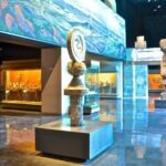 Anthropology Museum Ticket - Navigating the Itinerary and Highlights