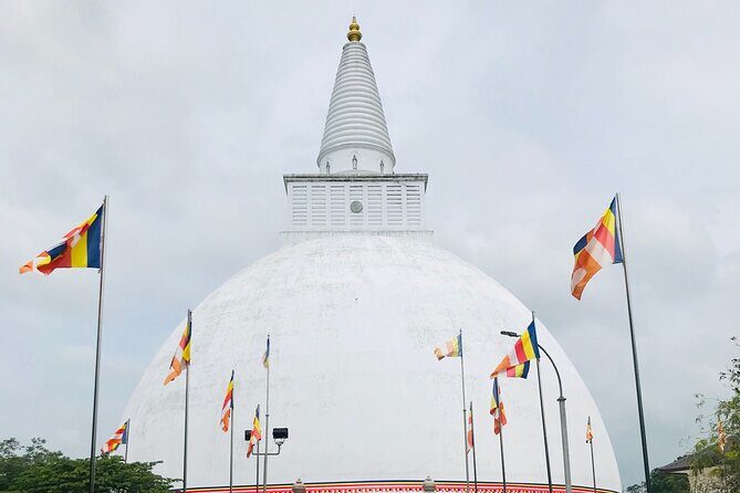Anuradhapura ancient city tour with Travandgo tours - Final Words: Who Should Book This Tour?