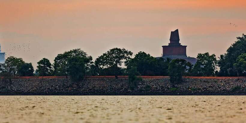 Anuradhapura & Aukana: Private Day Tour From Habarana - A Closer Look at the Tour Experience