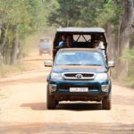 Anuradhapura: Full-Day Wilpattu National Park Private Safari - The Sum Up: Is This Safari Right for You?