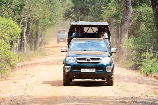 Anuradhapura: Full-Day Wilpattu National Park Private Safari - The Sum Up: Is This Safari Right for You?