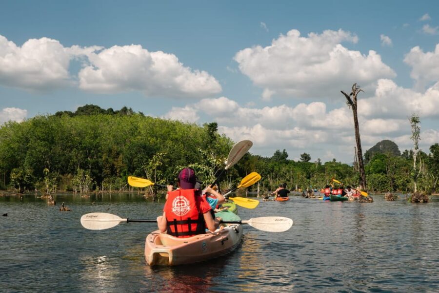 Ao Nang Kayak Adventure: Explore the Stunning Flooded Forest - Why Choose This Tour?