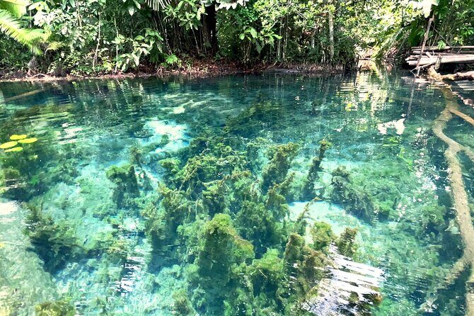 Ao Nang Kayaking at Klong Rud with Hotel Transfer - Why This Tour Works and Who It’s For