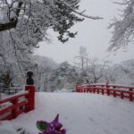 Aomori Private Customizable 6-Hour Tour - Practical Details and Considerations